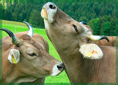 Fahrpraxis, Aussenpraxis