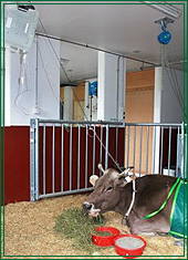 Stallung Starionär Infusion