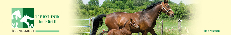 Tierklinik im F�rtli