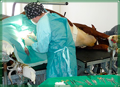 Operationstisch