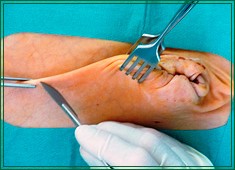 Rinderklinik Leistungen